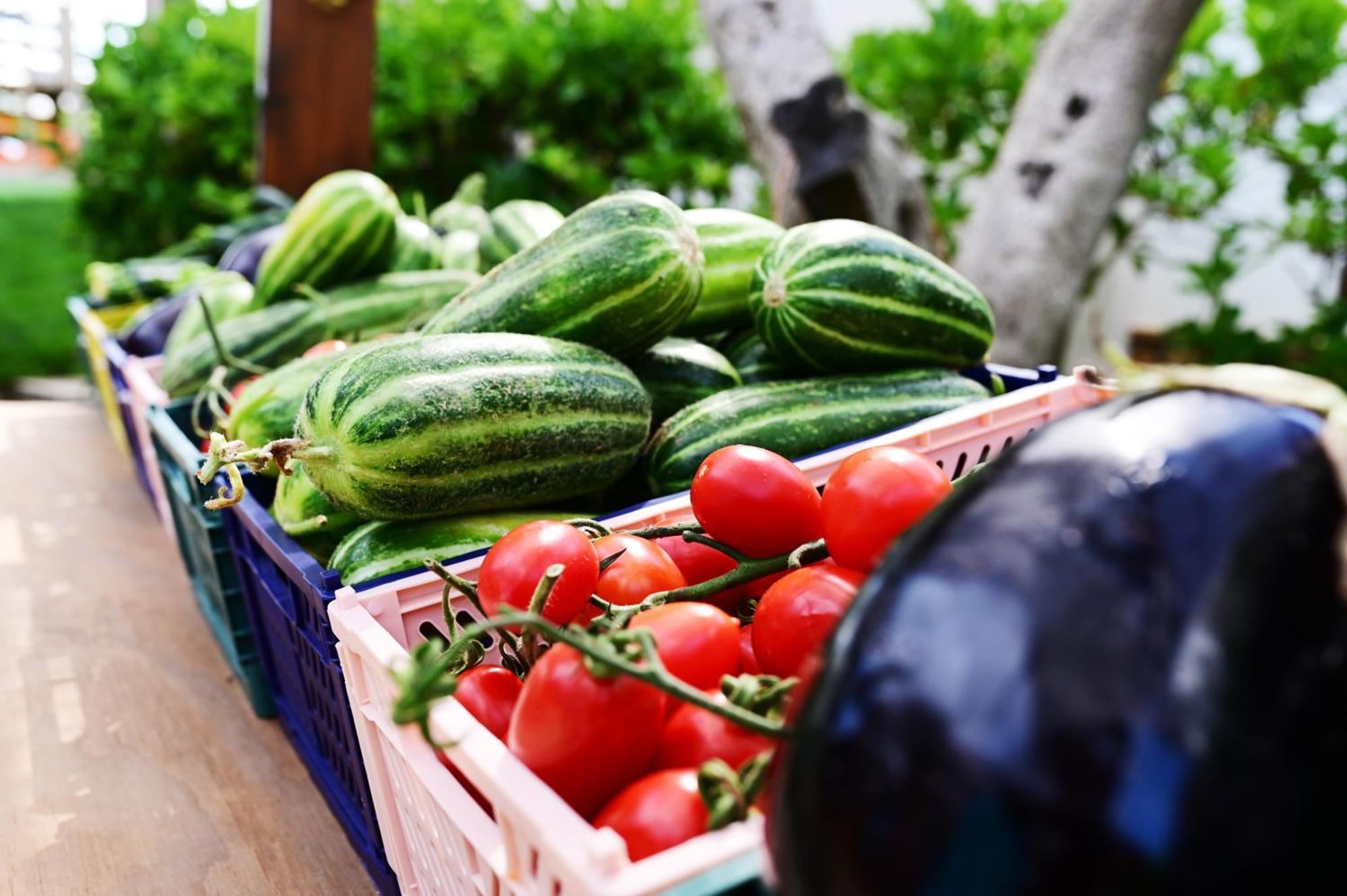 סן ויטו דיי נורמני Agrifamily Village מראה חיצוני תמונה